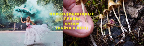тгк Абинск
