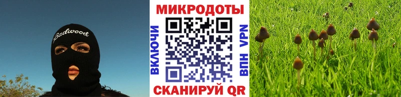 закладка  Бугуруслан  Галлюциногенные грибы MAGIC MUSHROOMS 